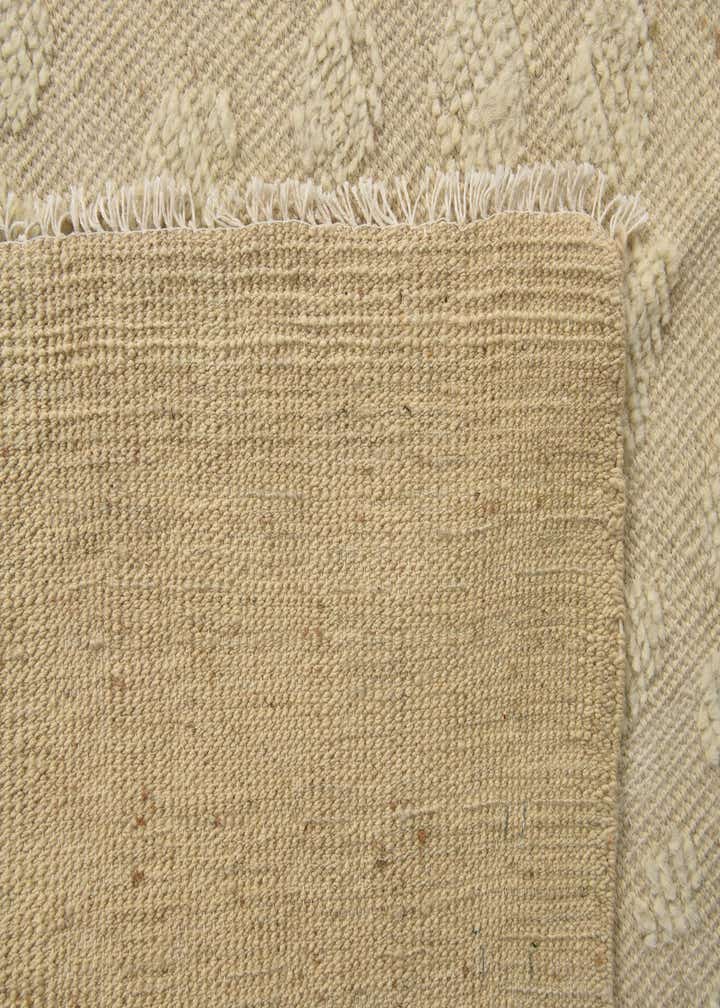 8' 11 x 12' 6 Hand Knotted Darya Wool Rug