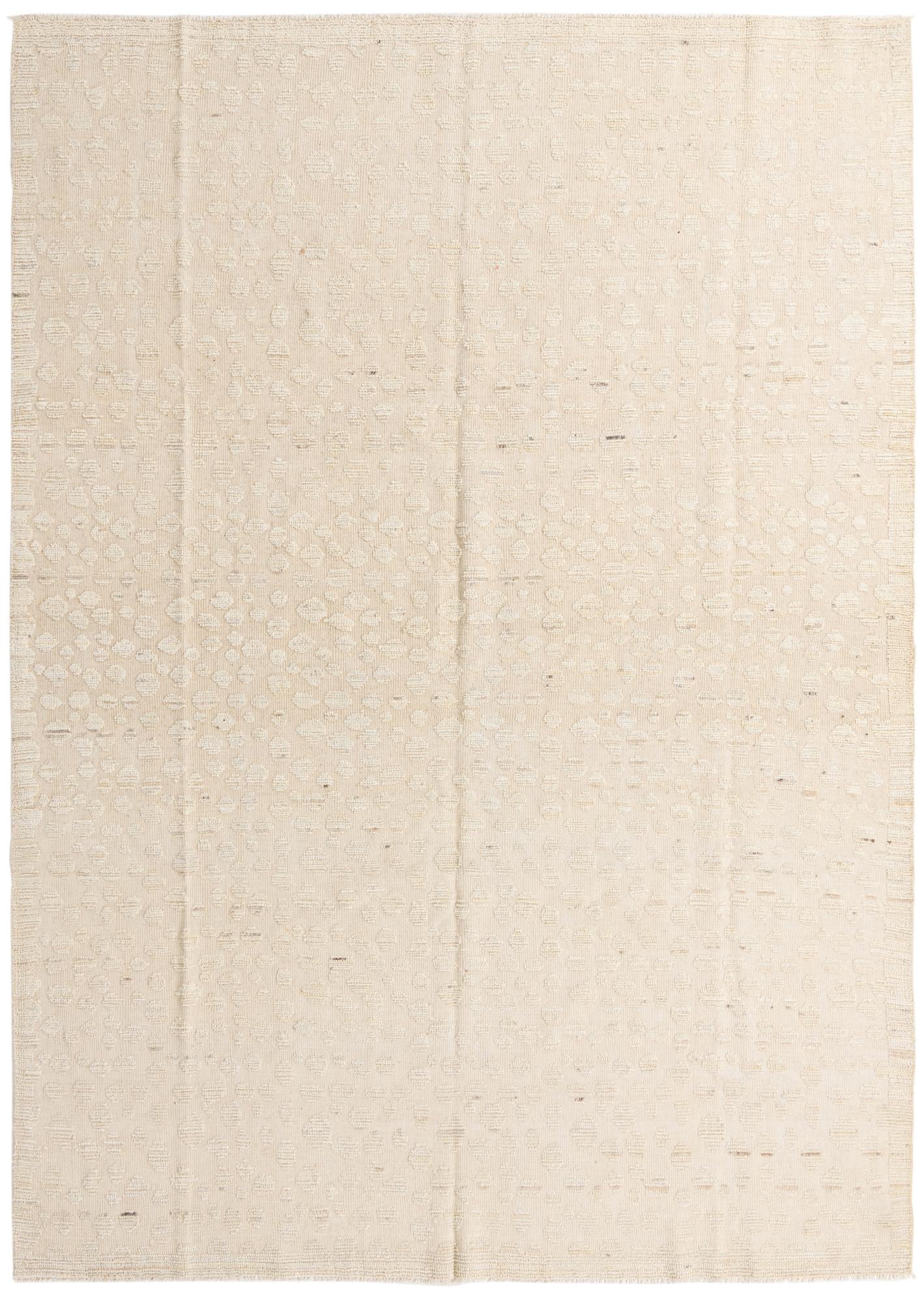 8' 11 x 12' 6 Hand Knotted Darya Wool Rug