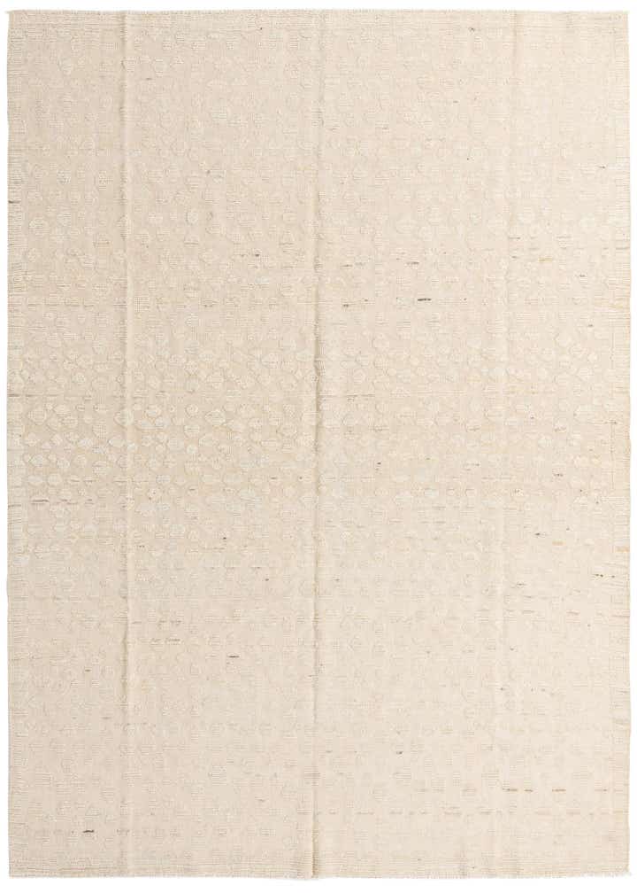 8' 11 x 12' 6 Hand Knotted Darya Wool Rug