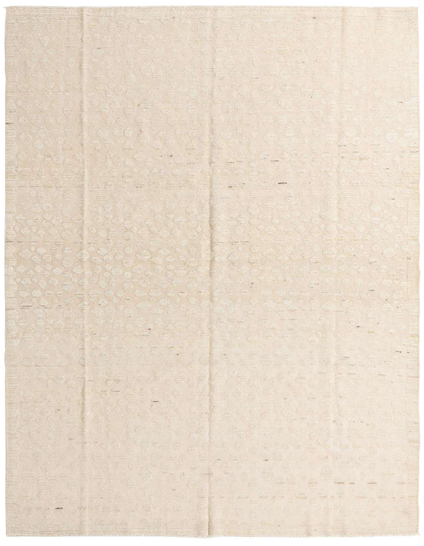 8' 11 x 12' 6 Hand Knotted Darya Wool Rug