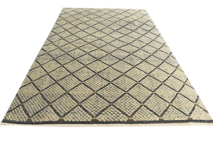 Detail image of 5' 6 x 10' 1 Hand Knotted Darya Wool Rug