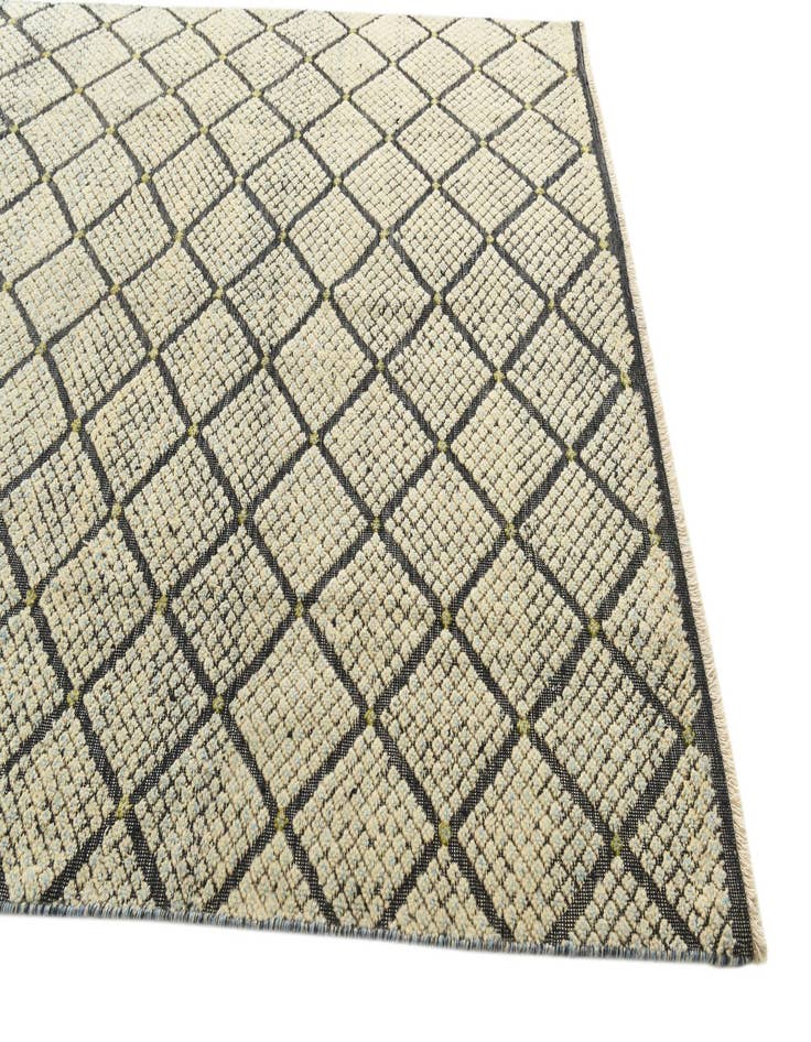 Detail image of 5' 6 x 10' 1  Hand Knotted Darya Wool Rug