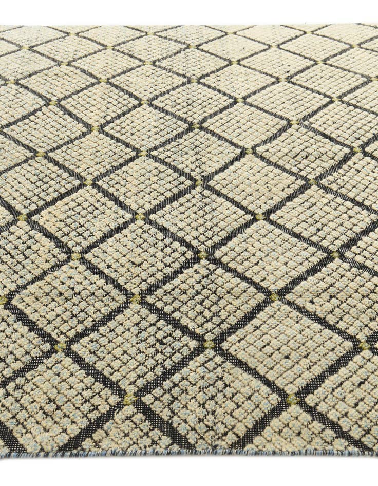 Detail image of 5' 6 x 10' 1  Hand Knotted Darya Wool Rug