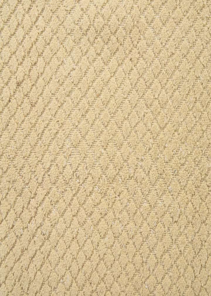 8' 1 x 10' 8 Hand Knotted Darya Wool Rug