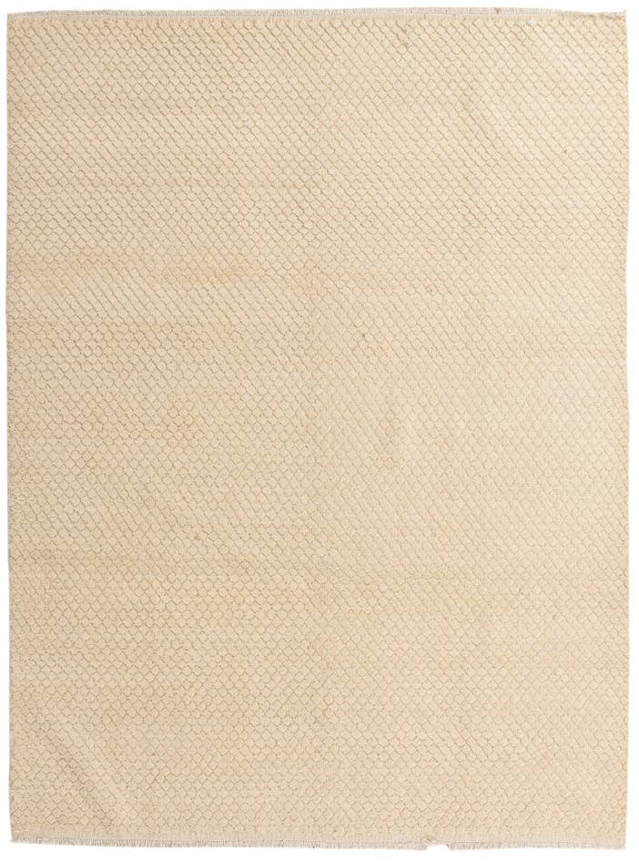 Detail image of 8' 1 x 10' 8 Hand Knotted Darya Wool Rug