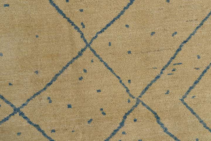 8' x 10' Hand Knotted Darya Wool Rug