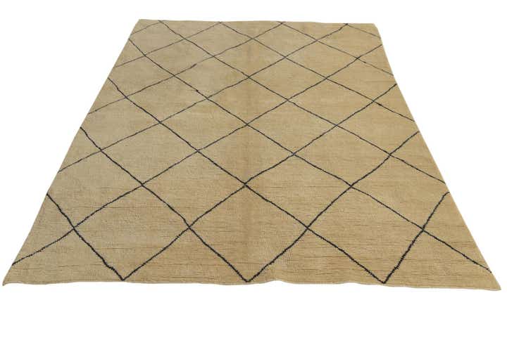5' 6 x 8' Hand Knotted Darya Wool Rug
