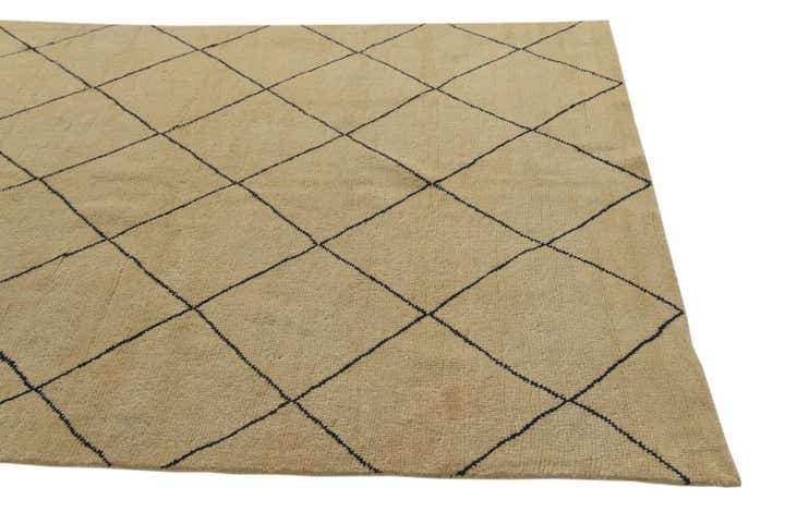 5' 6 x 8' Hand Knotted Darya Wool Rug