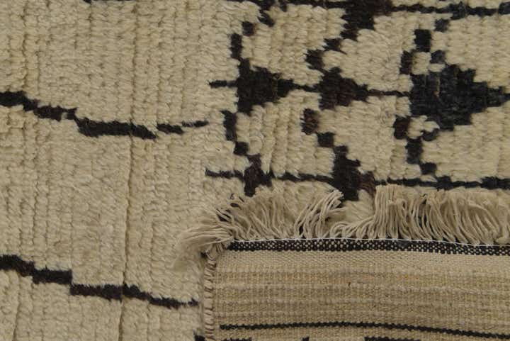 9' 10 x 14' 3 Hand Knotted Darya Wool Rug