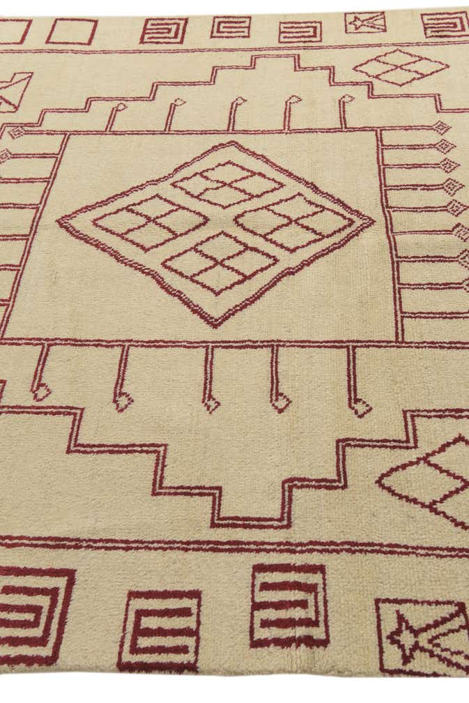 6' 6 x 10' Hand Knotted Darya Wool Rug