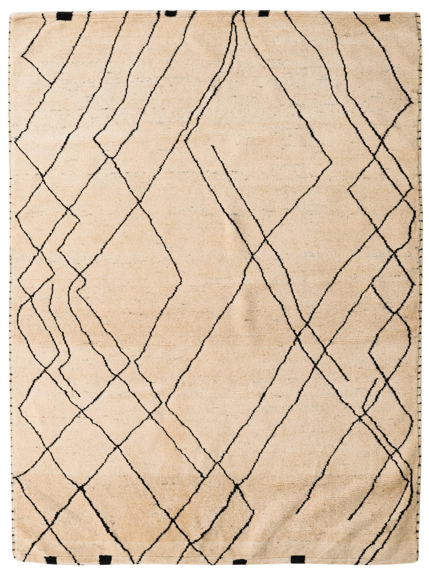 6' x 8' Hand Knotted Darya Wool Rug