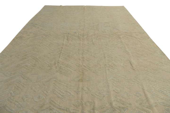 10' x 14' Hand Knotted Darya Wool Rug