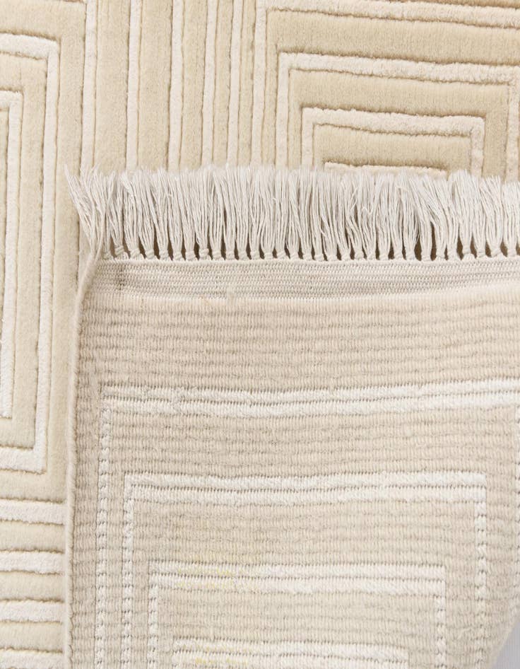 Detail image of 6' 9 x 10' 1  Hand Knotted Darya Wool Rug