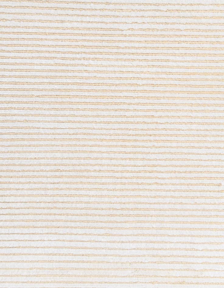 Detail image of 2' 11 x 4' 9  Hand Knotted Darya Wool Rug