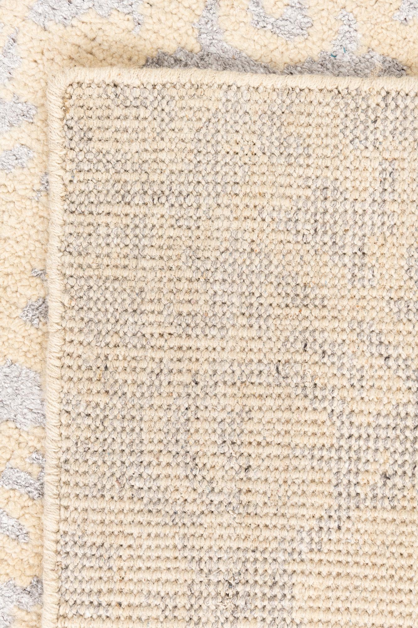 4' 10 x 8' Hand Knotted Darya Rug