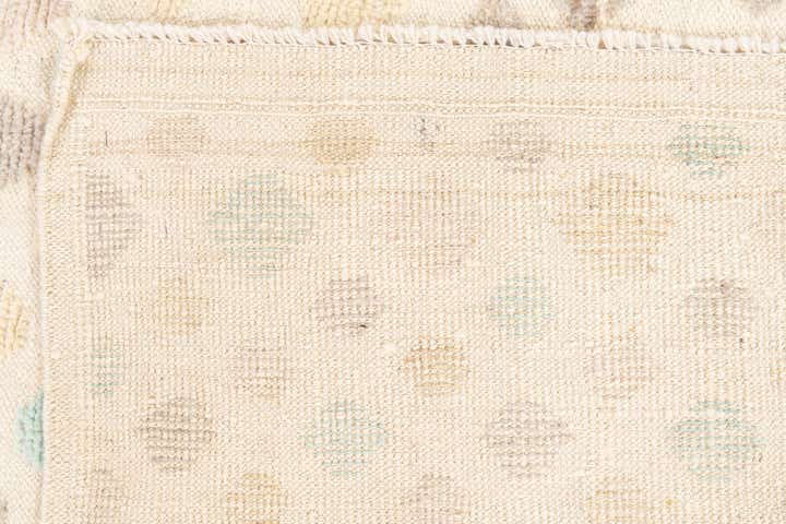 8' 9 x 12' 7 Hand Knotted Darya Wool Rug