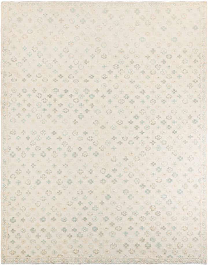 9' 2 x 11' 7 Hand Knotted Darya Wool Rug