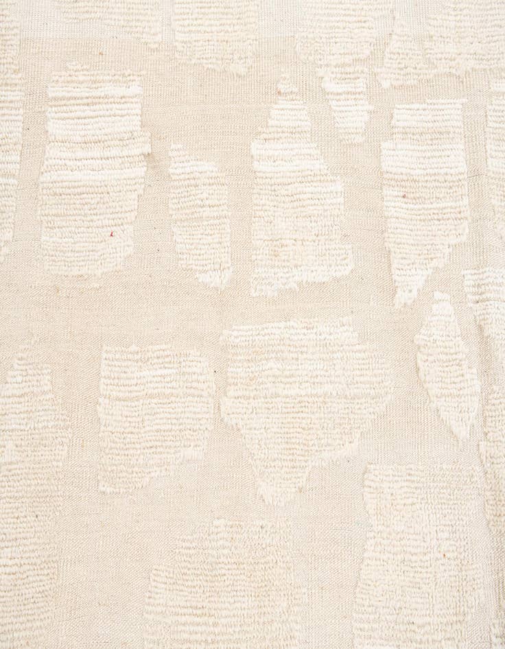 Detail image of 8' 5 x 10' 4  Hand Knotted Darya Wool Rug