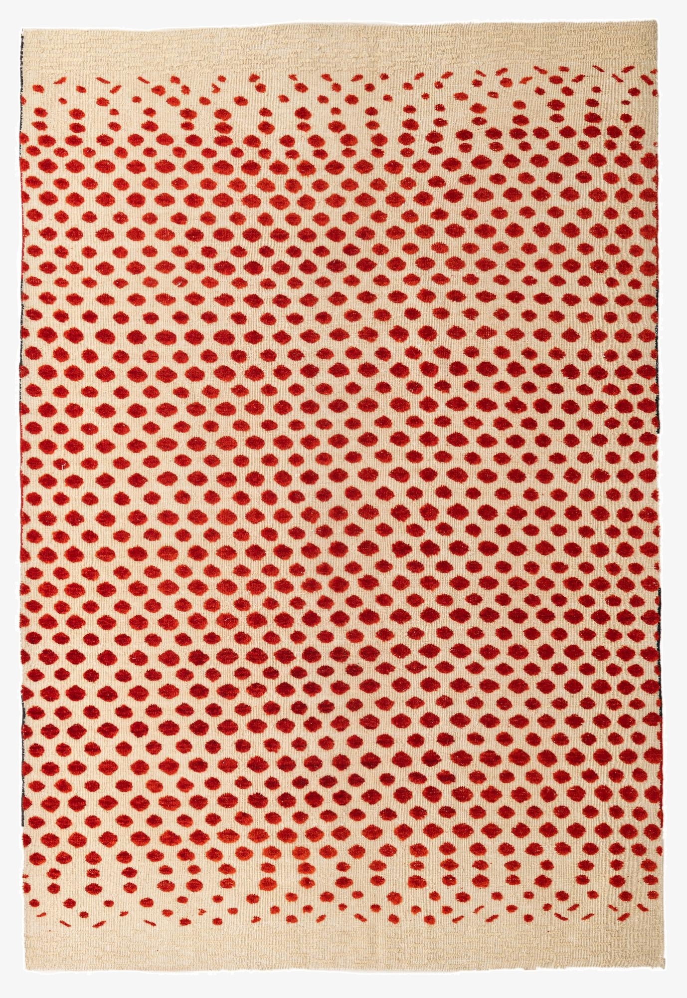 6' 7 x 9' 9  Hand Knotted Darya Wool Rug