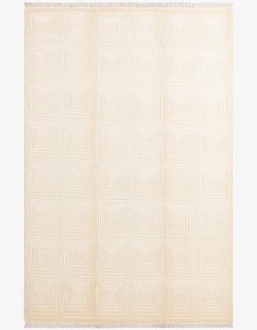 6' 9 x 10' 1 Hand Knotted Darya Wool Rug