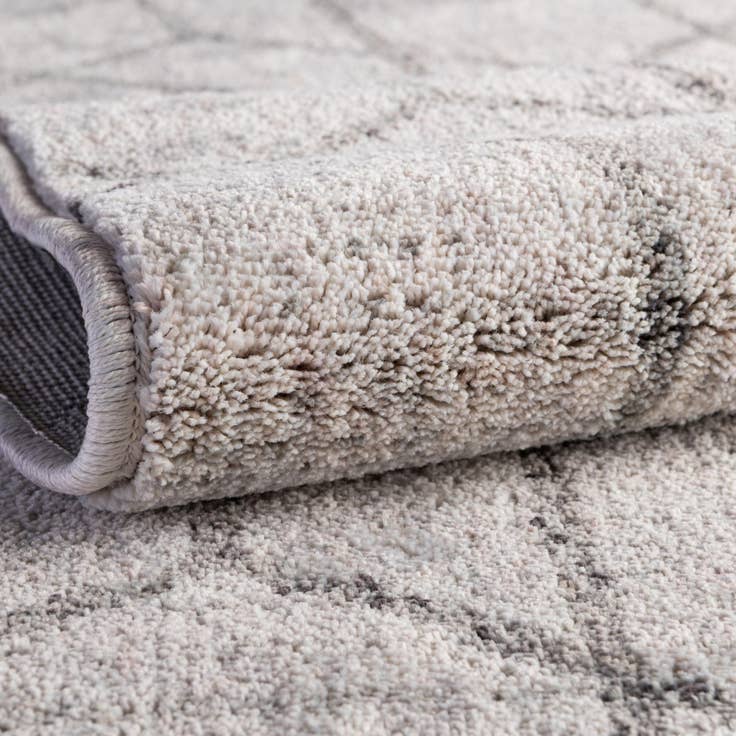 Detail image of 2' x 3' Eco Trellis Rug