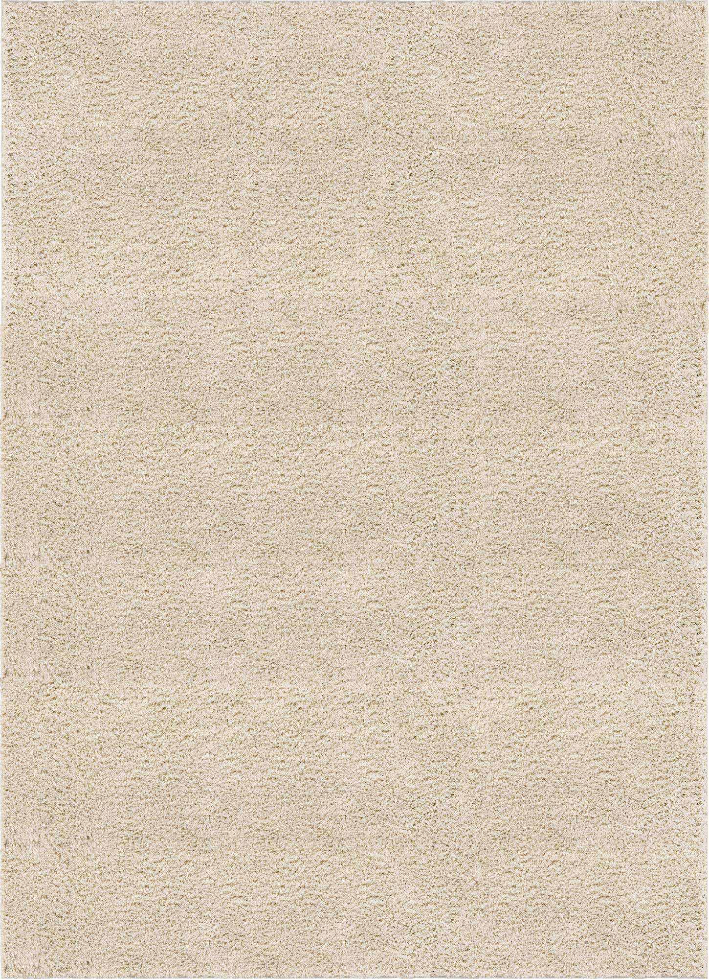 10' x 14' Everyday Shag Rug