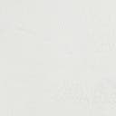 Rug Ivory Swatch link