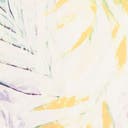 Color variant
