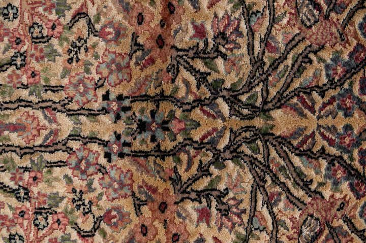 3' 1 x 5' 3 Hand Knotted Kashmir Oriental Rug