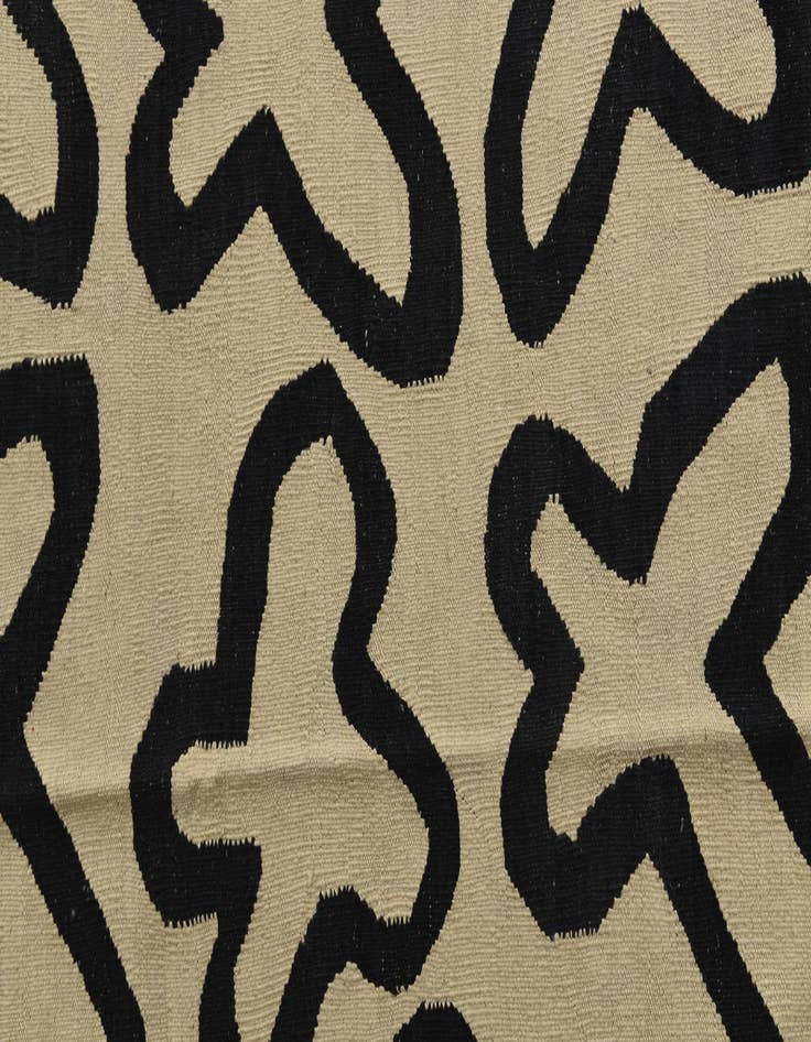 Detail image of 6' x 8'  Hand Woven Kilim Modern Wool Rug