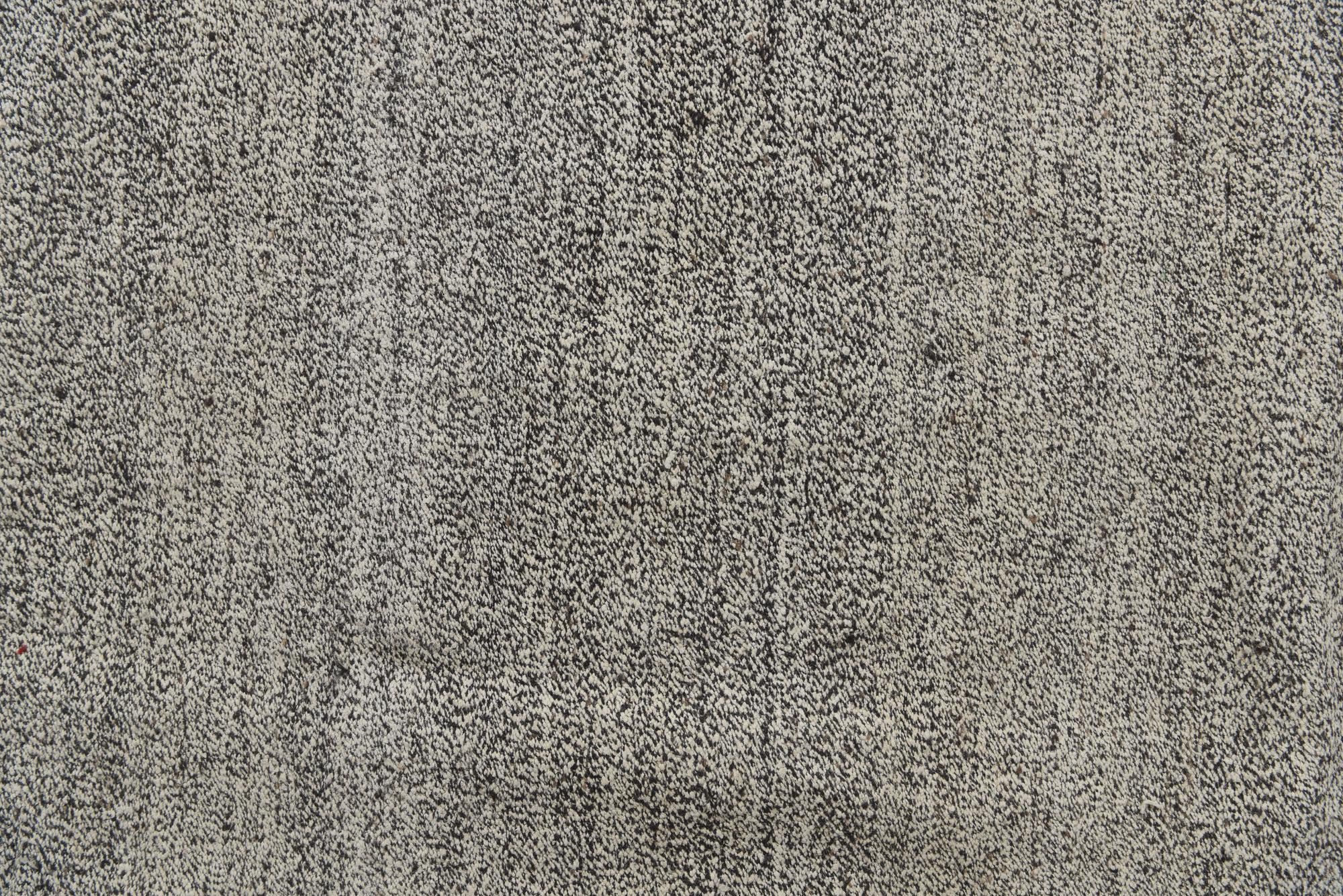 8' 7 x 9' 6 Hand Woven Kilim Modern Wool Rug
