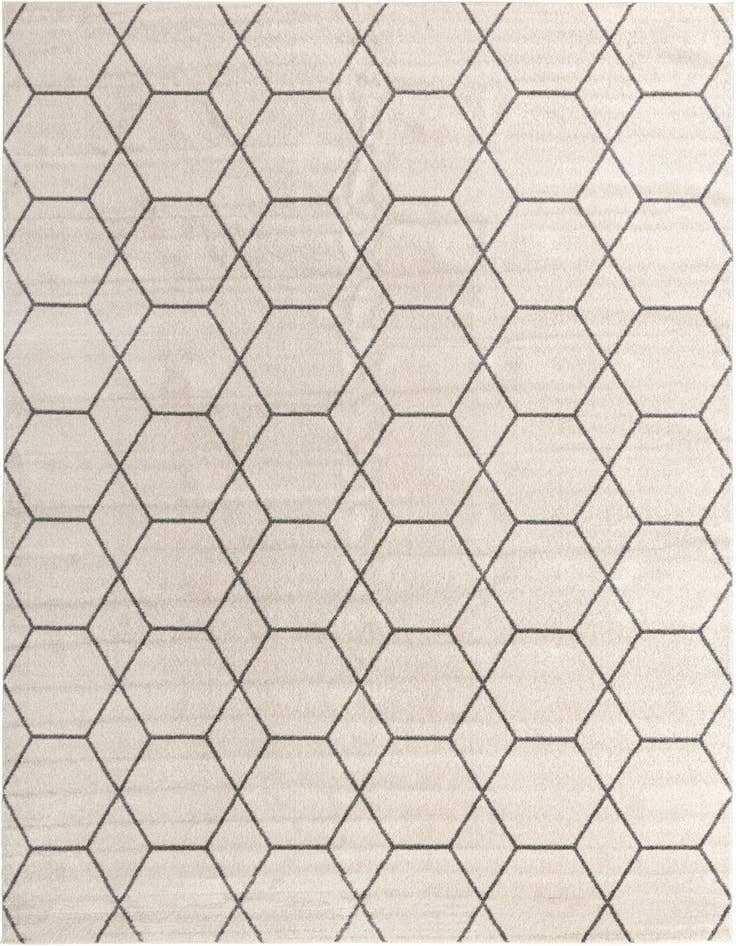 Detail image of 4' x 6' Lattice Frieze Rug