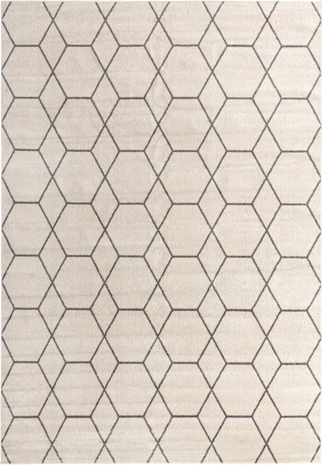 Detail image of 10' x 14' Lattice Frieze Rug