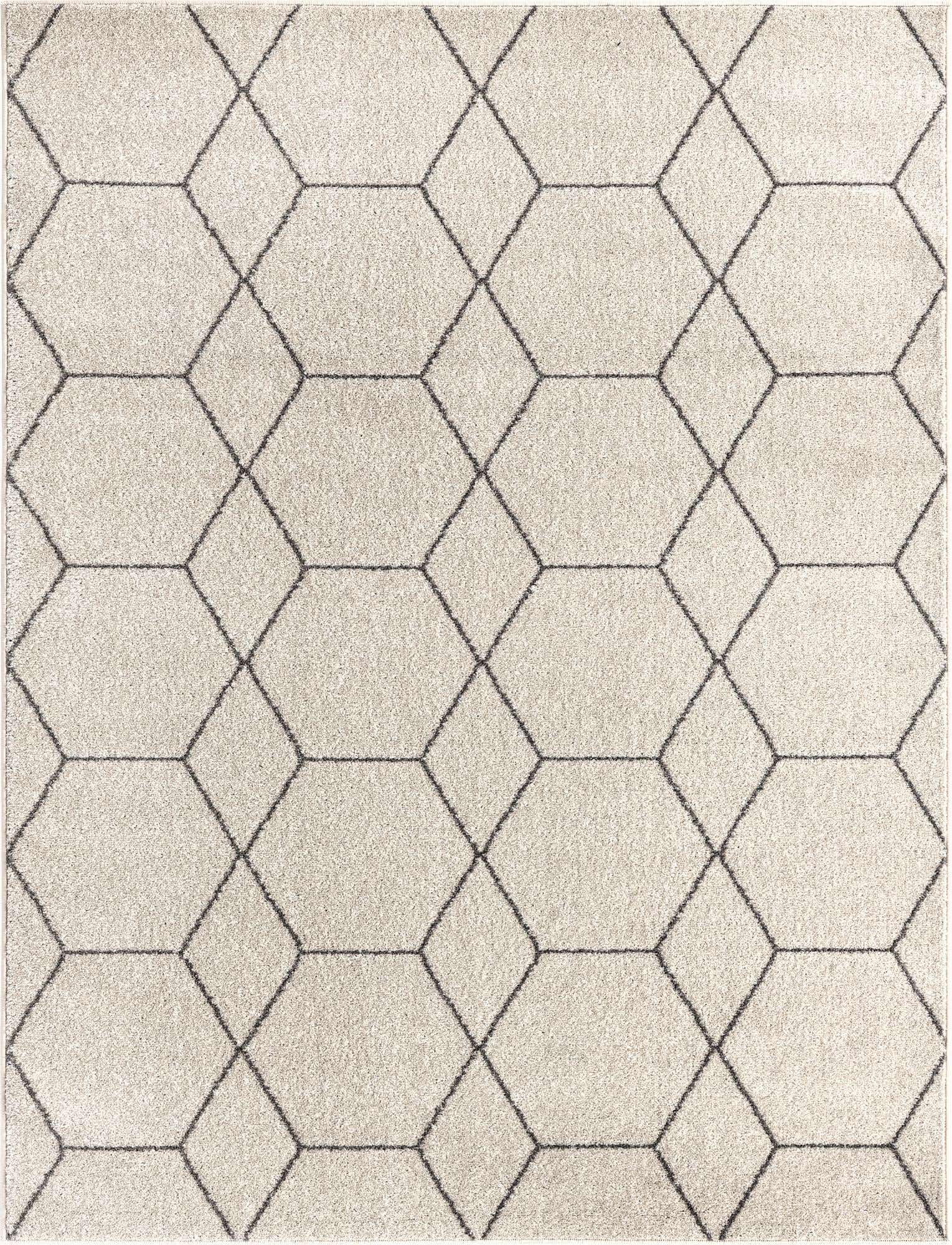 10' x 13' Lattice Frieze Rug