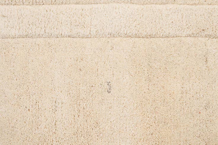 Detail image of 2' 9 x 5' Luna Wool Rug