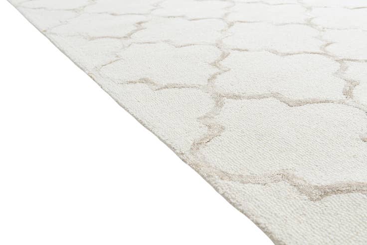 Detail image of 5' x 7' 6 Luna Rug
