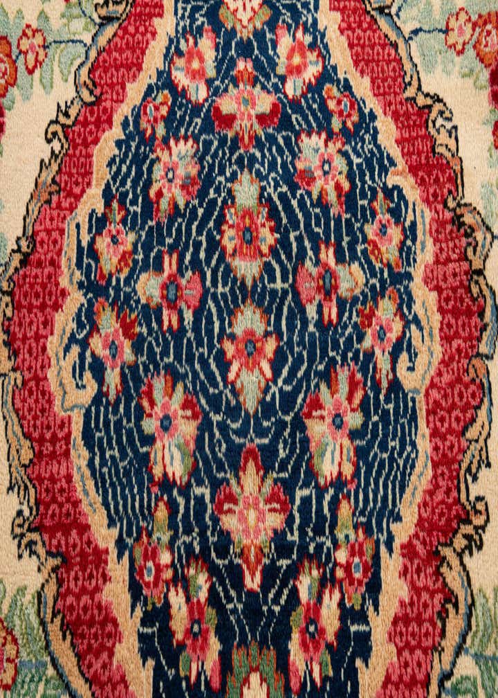 9' 4 x 12' 9 Hand Knotted Meshkabad Persian Wool Rug