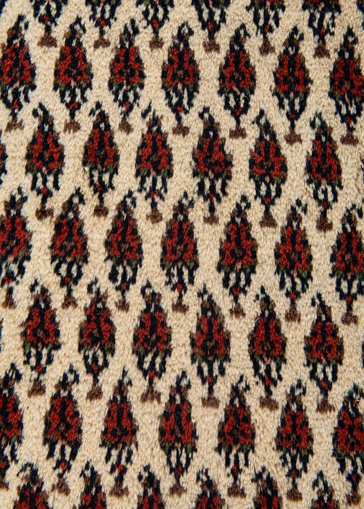 3' 2 x 5' 2 Hand Knotted Mir Wool Rug