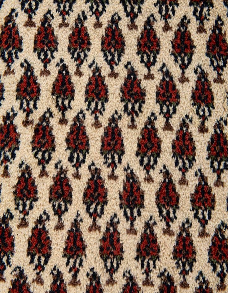 Detail image of 3' 2 x 5' 2 Hand Knotted Mir Wool Rug