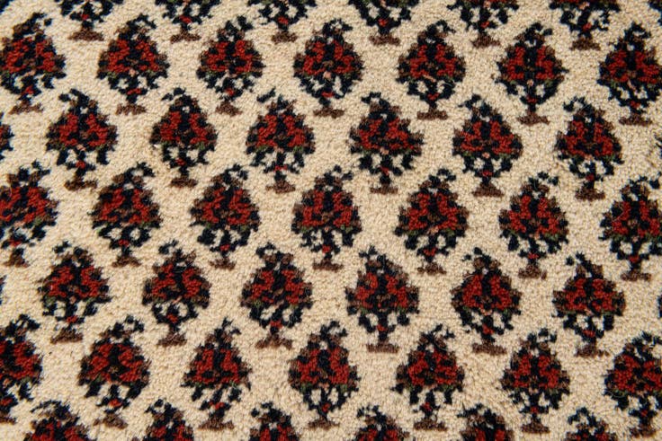 Detail image of 3' 2 x 5' 2 Hand Knotted Mir Wool Rug