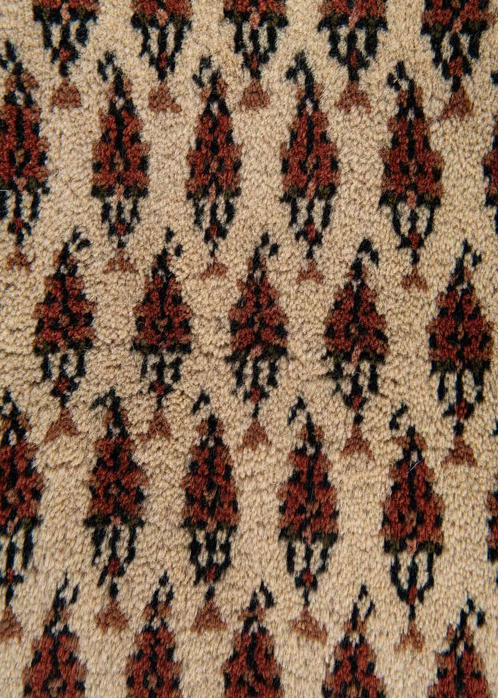 3' x 5' 4 Hand Knotted Mir Wool Rug