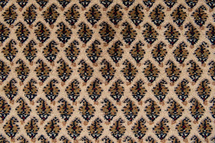 5' 6 x 10' 1 Hand Knotted Mir Oriental Wool Rug