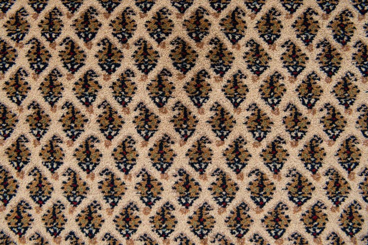 Detail image of 5' 6 x 10' 1 Hand Knotted Mir Oriental Wool Rug