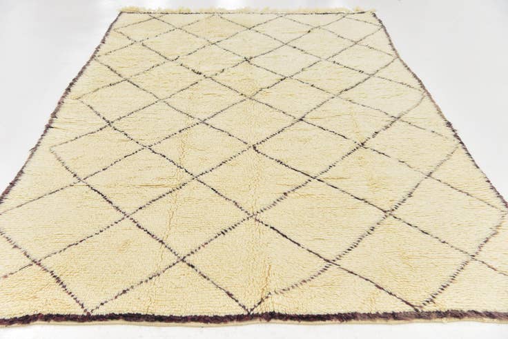 Detail image of 6' x 9' 8 Hand Knotted Moroccan Wool Rug