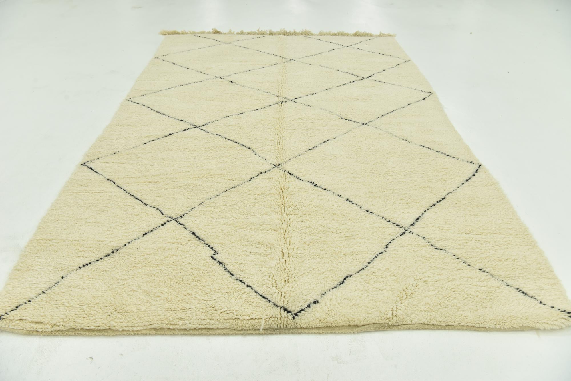 6' 10 x 10' 6 Hand Knotted Moroccan Wool Rug