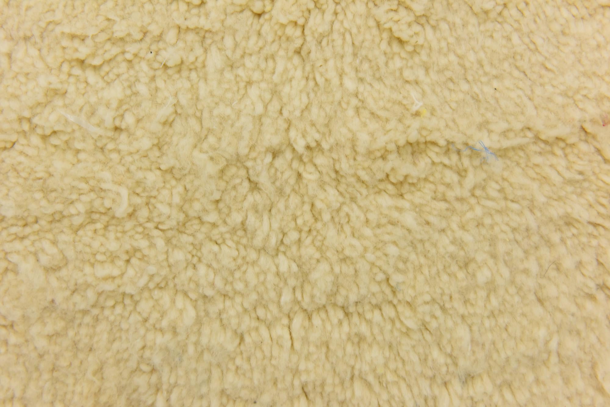 5' 3 x 8' 10 Hand Knotted Moroccan Wool Rug