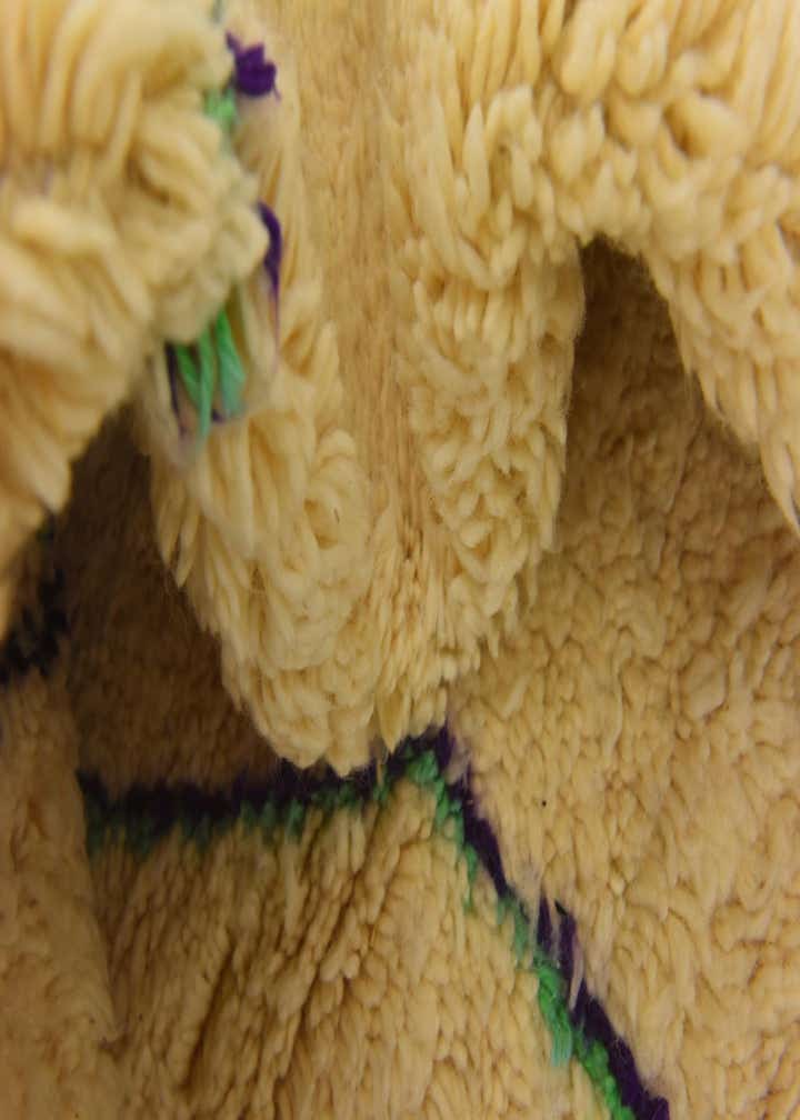 6' 8 x 9' 7 Hand Knotted Moroccan Wool Rug