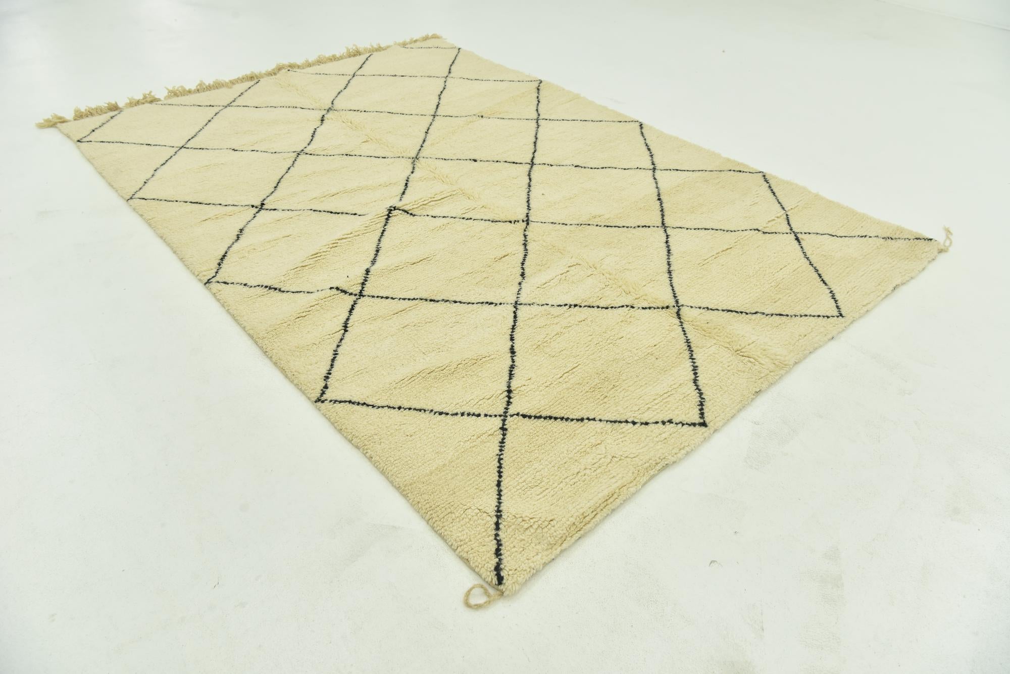 6' 7 x 9' 7 Hand Knotted Moroccan Wool Rug