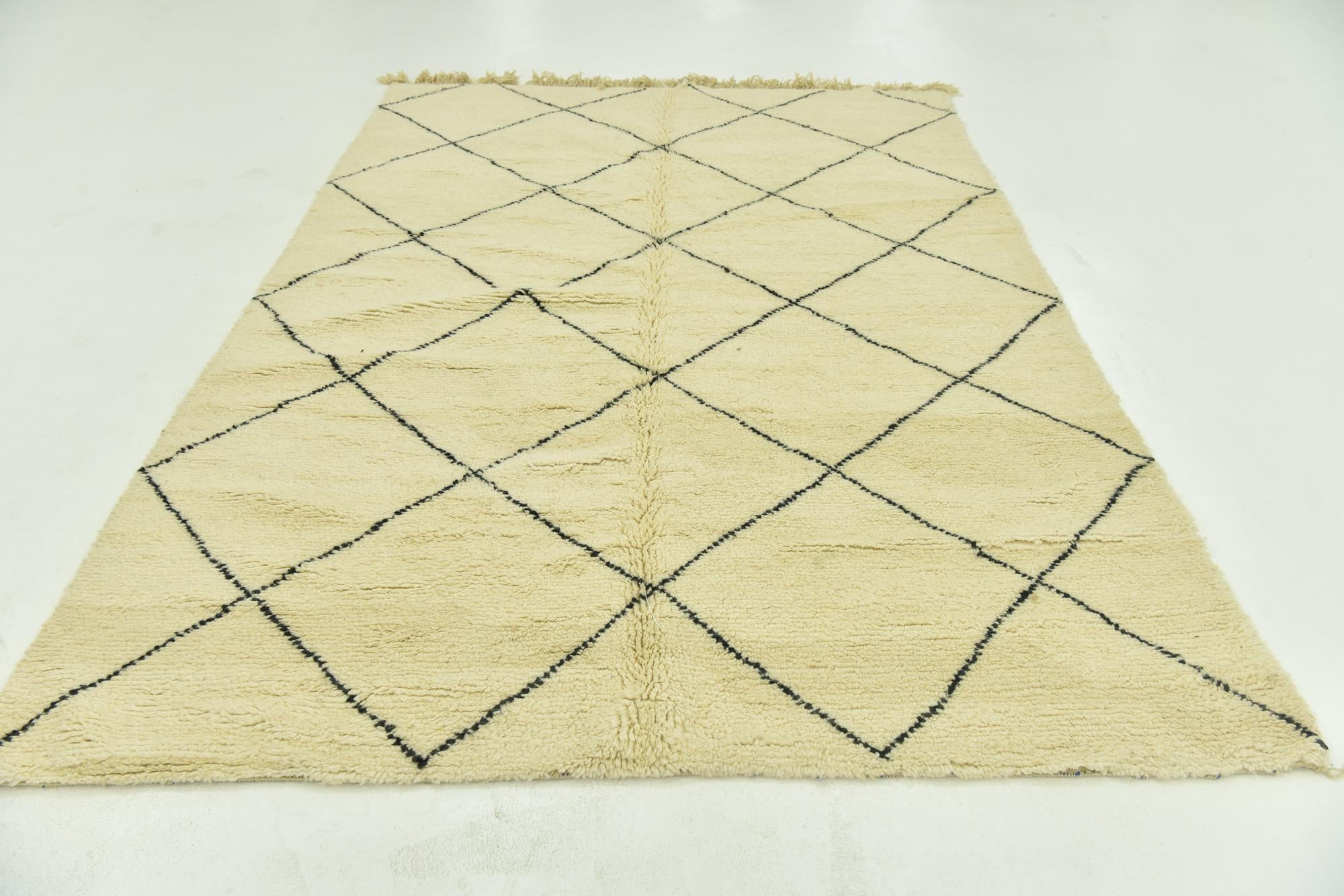 6' 7 x 9' 7 Hand Knotted Moroccan Wool Rug
