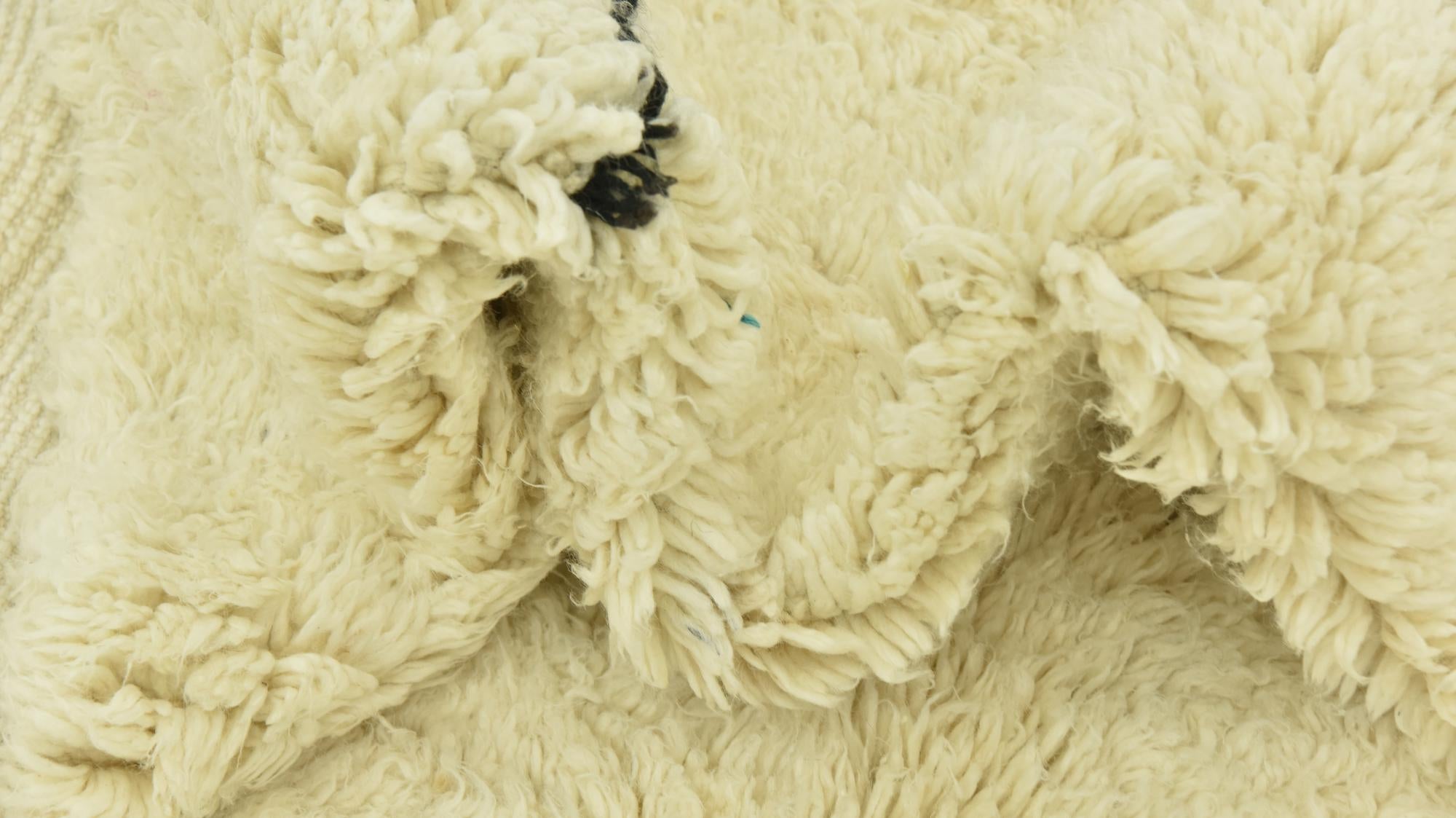 6' 8 x 10' 5 Hand Knotted Moroccan Wool Rug